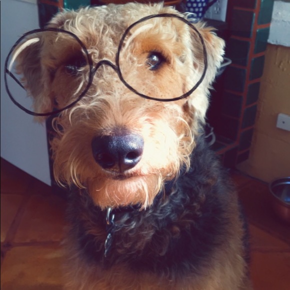 Meet your Posher, Sky - Picture 1 of 1